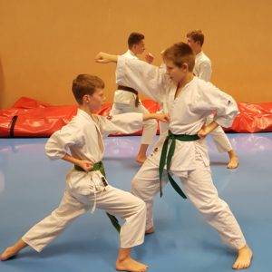 Karate Übung mit Kindern